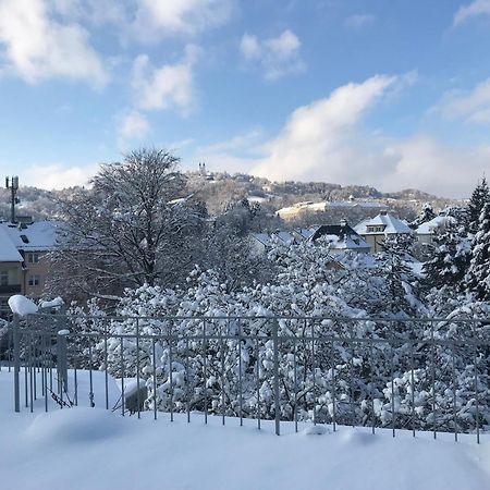 Stadtoase Mit Traumhaftem Ausblick Linz Eksteriør bilde