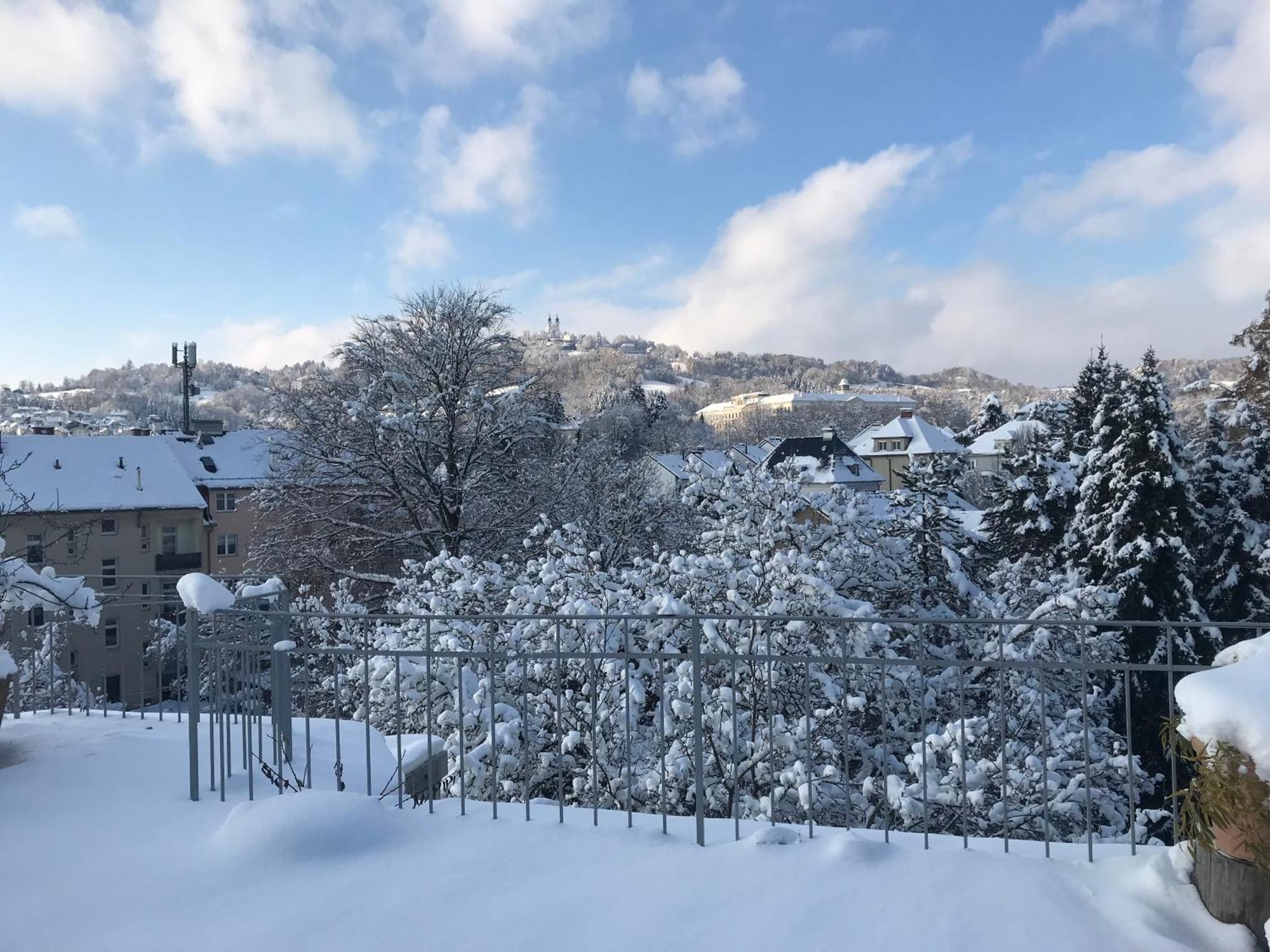 Stadtoase Mit Traumhaftem Ausblick Linz Eksteriør bilde